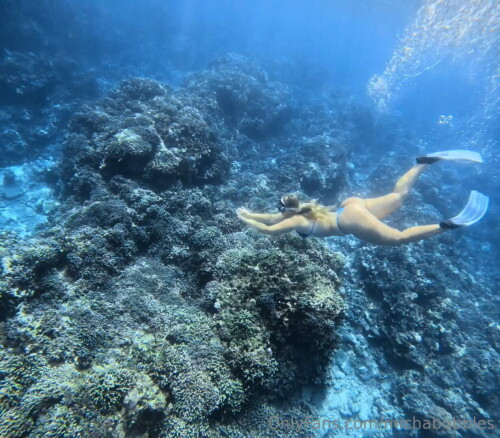 1232x1078 b55d5d27d664cd07a92737d6d3e34289cf24e19bbcfdaa82