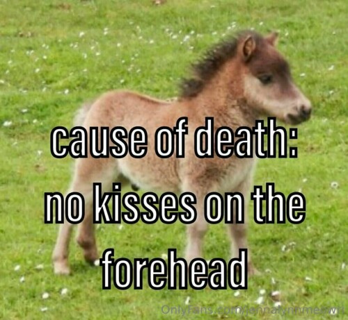 1241x1145 6edbceeea4a5aded0562afb51614f6d6