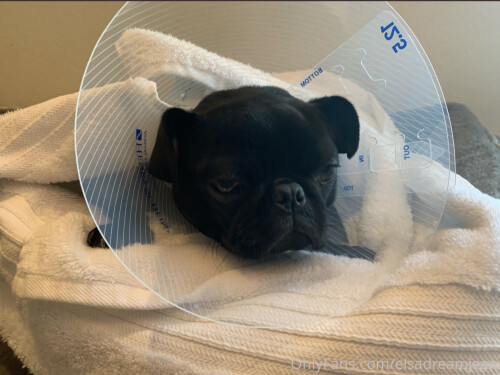 1242x932 aadb8e2707f13d38186a9a2df5264e67603028ee78df28f7a39134