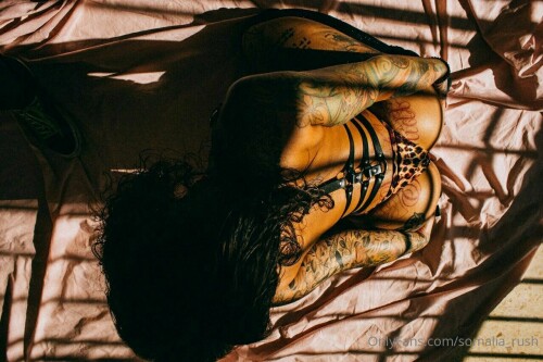 1280x853 e3beb7b55ebcc750f514cb981cfd5c24