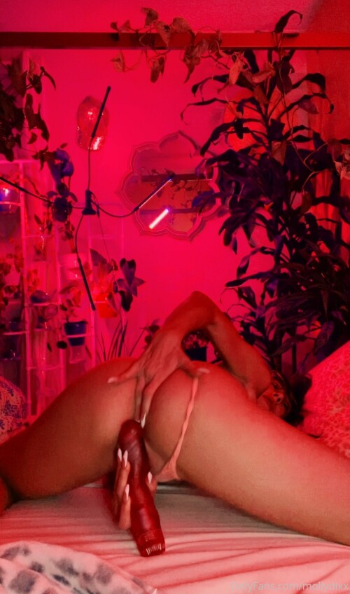 1284x2178 20315c50f033d58929d257cb64d25877