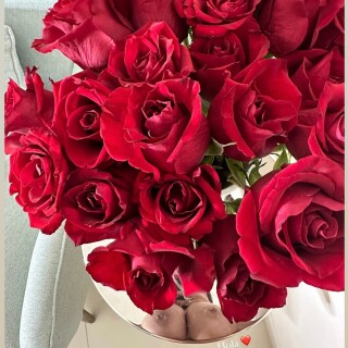 1290x1673_62f9c45dd9c18f09bab185ee827a98c2a1414409f3631433