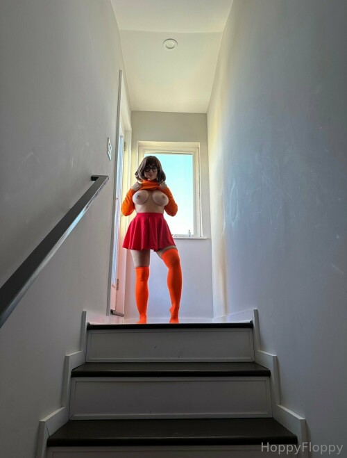 1290x1700 db4fc24a1983100f2c950006a0a19701724a7342e5da4771