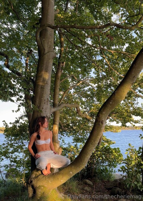 1290x1806 562d9acfb387dbecddbd1f12ee609461d708410f27f6f92f