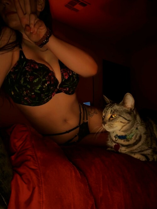 12c5ab63f502cafeedc5967f8f44e3c122883fd95725bf13