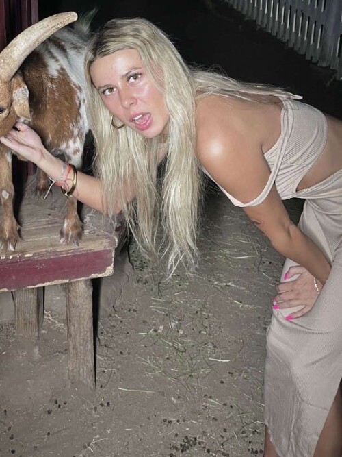 12ojfihvgib 1d42f06dd38b8ba87