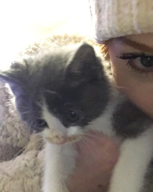 131468002 226105208893857 5570442643995662860 n97f623b14ae5e1c4