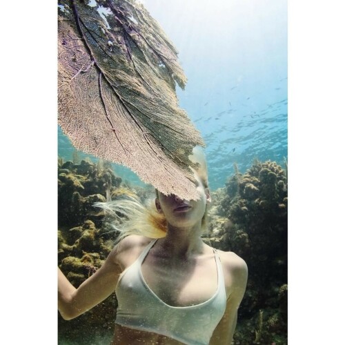 13413289 488835071314206 582997817 n21f03c8fbcfcf2c7