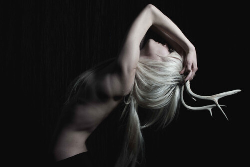 14109926856144b28cbe738c64666