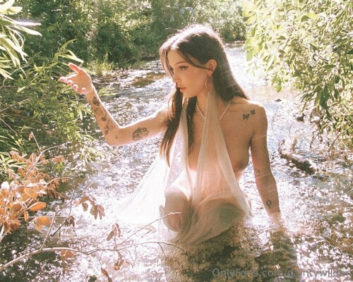 1419x1135 2d98d52e637d365cc09c74acb4f1ddd042c953ceda1cb621