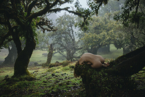 147A9454KOPIY 13013c61cd1e3bf07