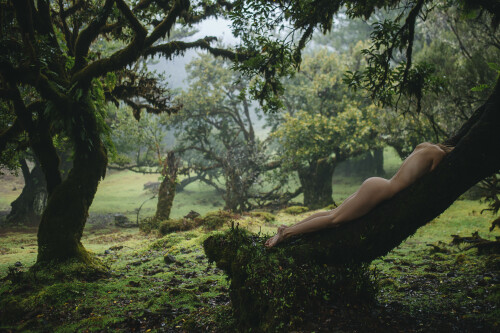 147A9472KOPIY 1847eed2925a1cffc