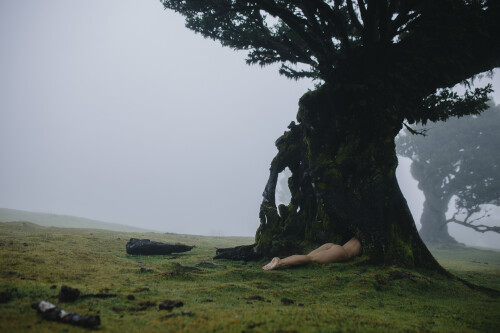 147A9500KOPIY 15c8c2a9b2f25aeee