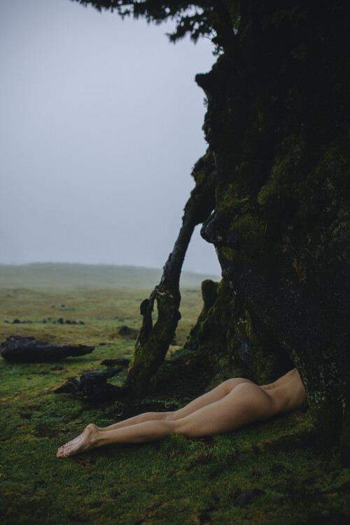 147A9510KOPIY 14ec8fa62284d16a3