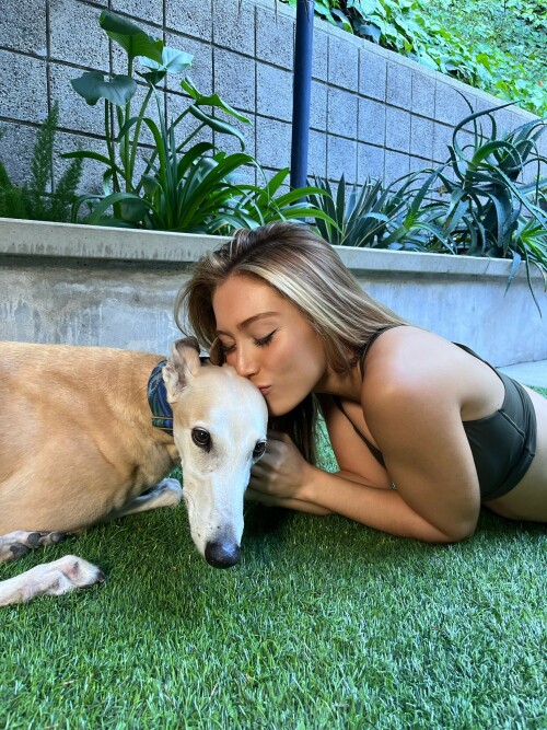 1507161566600331271 FOqDcx VUAYnb29