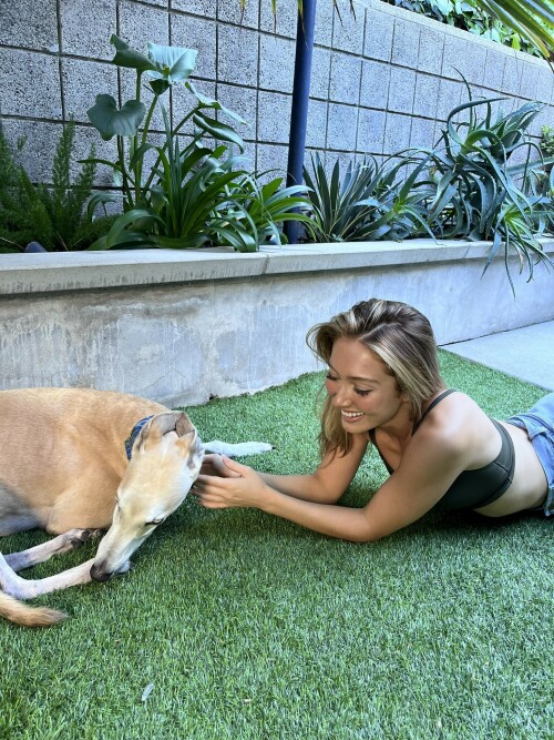 1507161566600331271 FOqDcyGVIAIJxPN