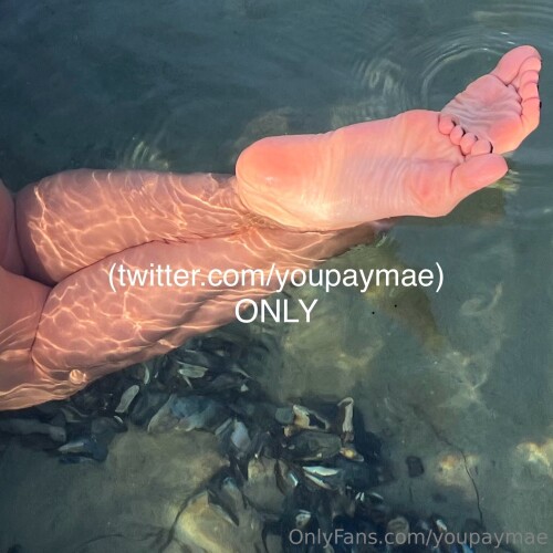 1533x1533 0c4d373e8ab5248e237b2885f8c6943f3830479658df8763