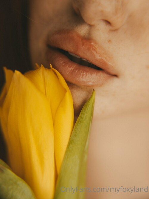 1536x2046 2f00155d750e3e40ab20ae4990ca5e36