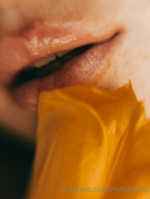 1536x2046 4c369d998f5967f5a40e11f585d50e34