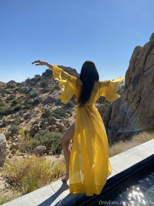 1536x2048 9c7b8c766e33edf230c79a97081cf760c1593a56cfb79460