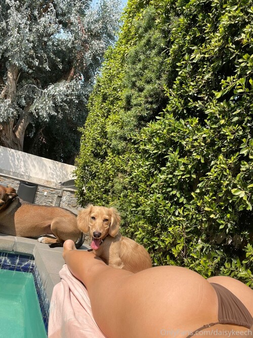 1536x2048 f9a1eb79ab0313565dc80e26375095a6