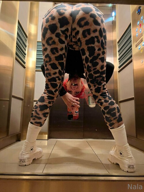 1536x2049 1692ee54a1a2ede8fc6aa5f188a328ab