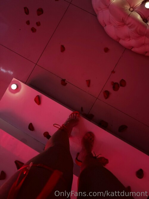 1536x2049 186992acc11fd5ad0ed50dcc09dc6a98