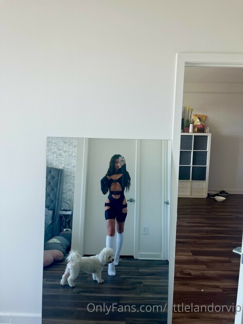 1536x2049 2f42edef34efda5629c949a55d45db26