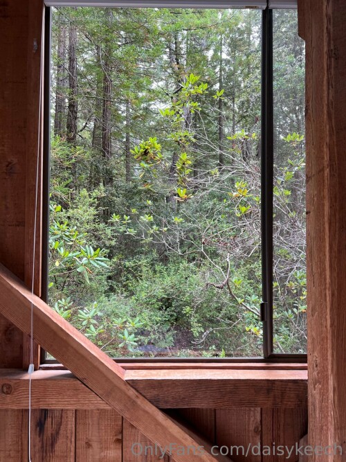 1536x2049 37ec847d53503bc99eb5e1b0bf208128