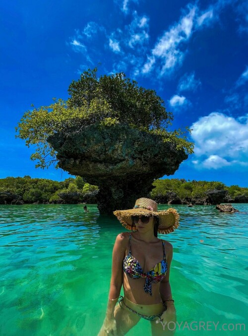 1536x2080 f3cc1e8ccd60c6973550e0fe8f686b57