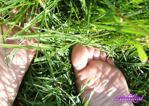 154 33 lgc3a1f2743f68b4a1