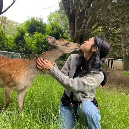 156096858196977cd8cd28ed2