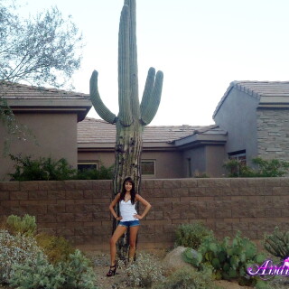 157-19-lg6df52fc8d96d02e7