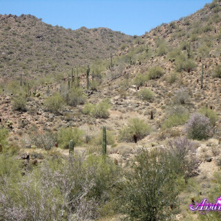 157-25-lgb40889998b9b4217