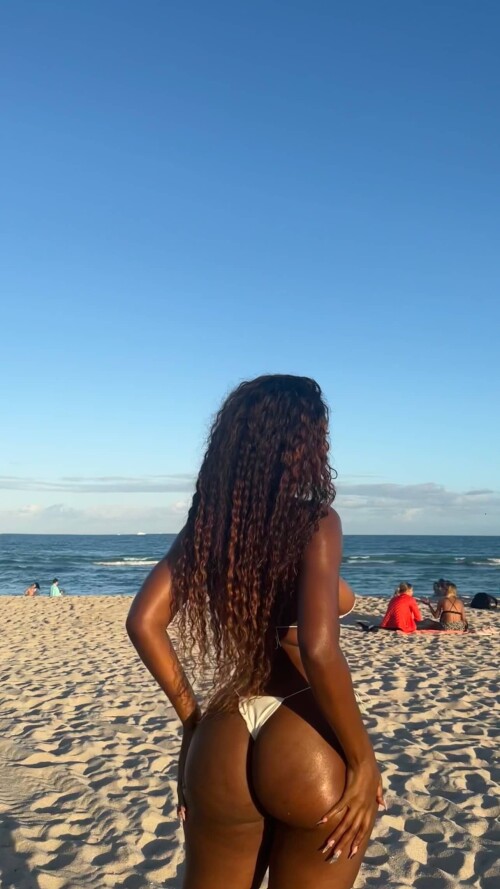 1571a586303212a31539