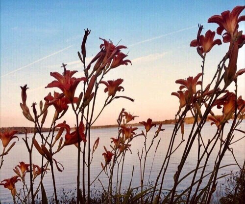 1572705028a95f50a651b83337