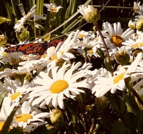 157270533002175330357e47e2