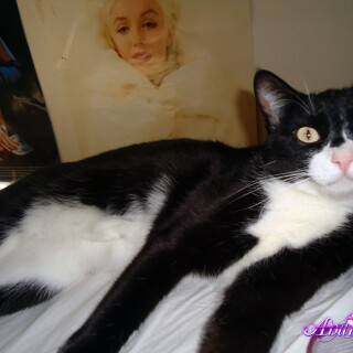 158-04-lgd694194b15eebe39