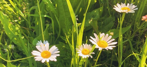 159169049352f825b28a8afb59