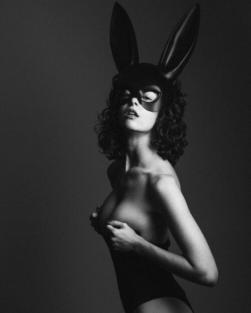 16099643648591b237623c278f05b