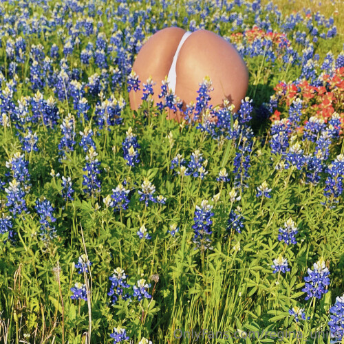 1622x1622 91783e73b73582f3cb043f41886ecb7a0652453a1c94324d