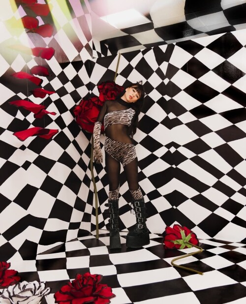 1636505859cb46373711d57a61