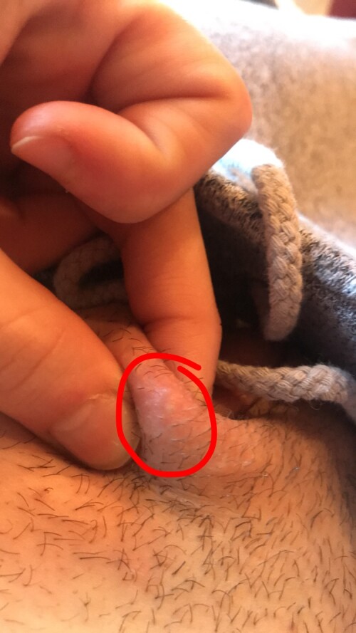 1656205074537ef429ecbc548de31