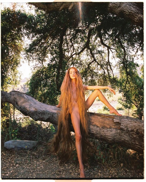 16860088476181b65983b8a1b834a