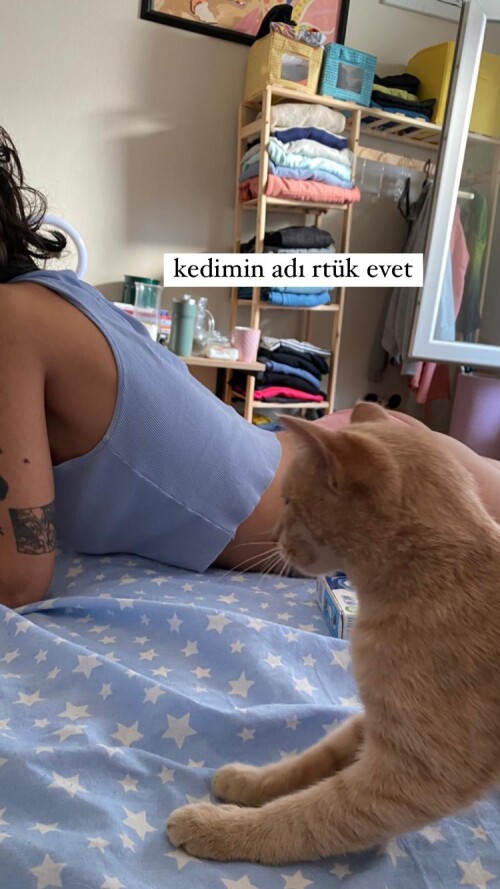 16861384135588090ca369fd6be46