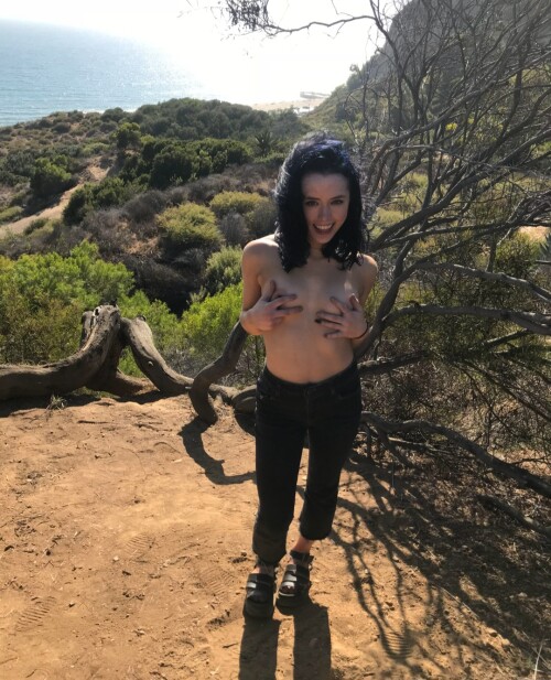 16901477060259750e4cdb9acdfd87bd