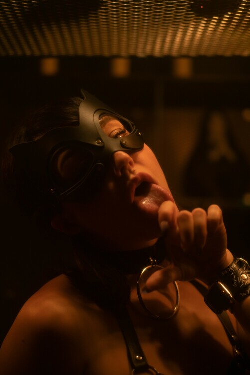 17 DSC03790a0059c8523d7210a