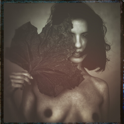 1738223461 21878eb974f04f4078