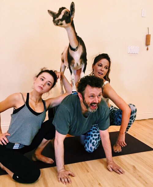 1753357456036 instaPV6f0f996fe7edf9b6