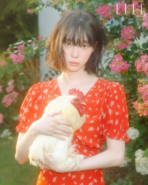 1756200212512c89a0d38b6d1ea65